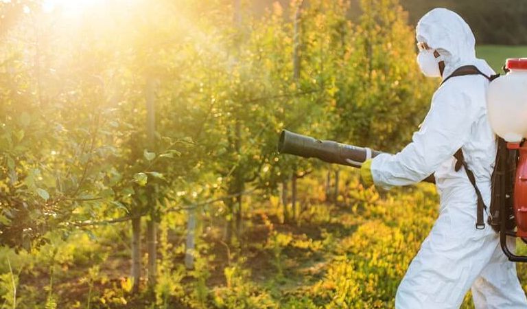 opryski przeciw komarom i kleszczom, likwidacja myszy, Wrocław, odpluskwianie, likwidujemy gnioazda os